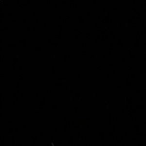 Meet your Posher, Trey